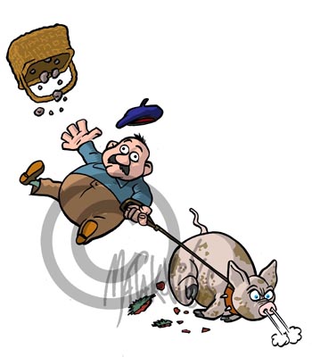 Pleasures of the palate-Tartufi